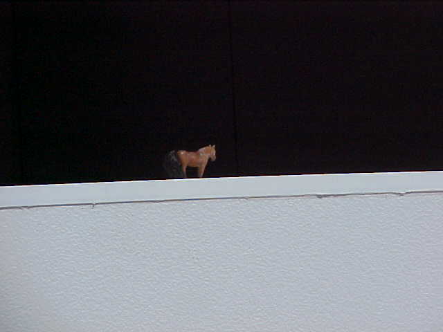 Bobo's horse - checking out the view from the site