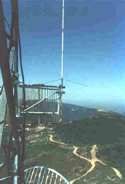 View north from the tower at 100 feet.